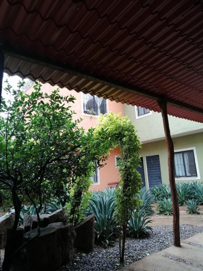 Tu Casa Oaxaca... Hotel Bagian luar foto
