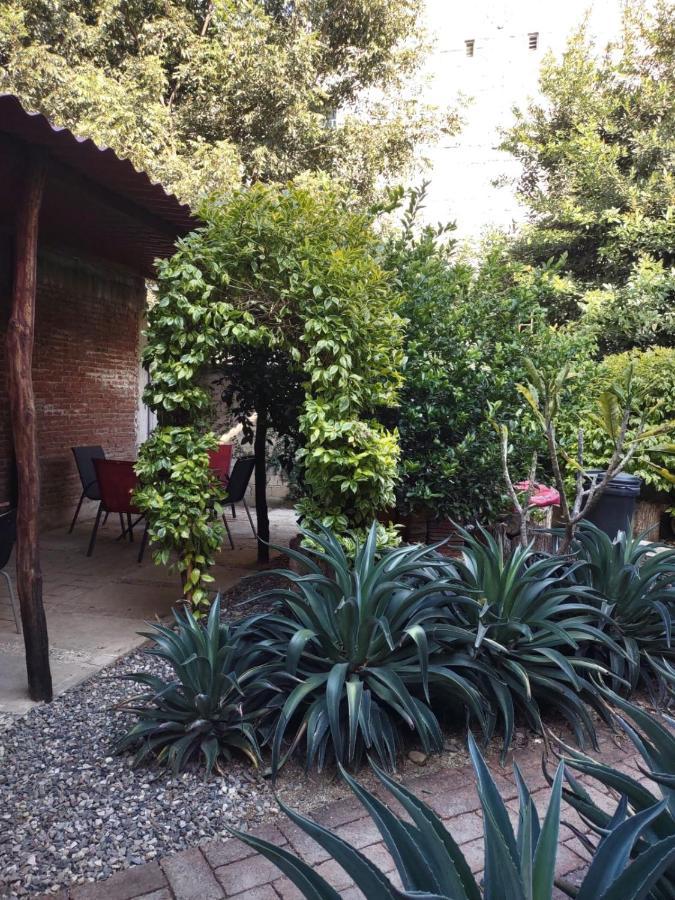 Tu Casa Oaxaca... Hotel Bagian luar foto