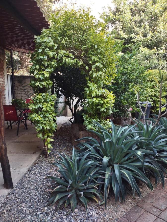 Tu Casa Oaxaca... Hotel Bagian luar foto