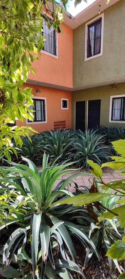 Tu Casa Oaxaca... Hotel Bagian luar foto